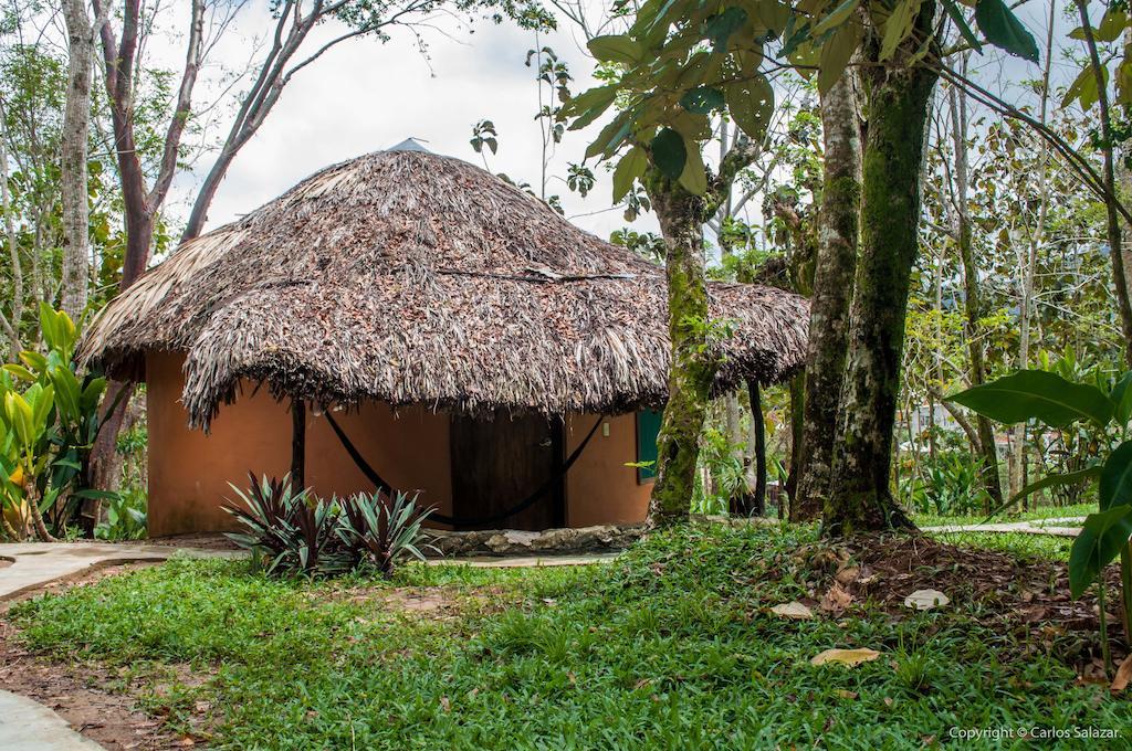 El Colombre Villa Palenque Ruang foto