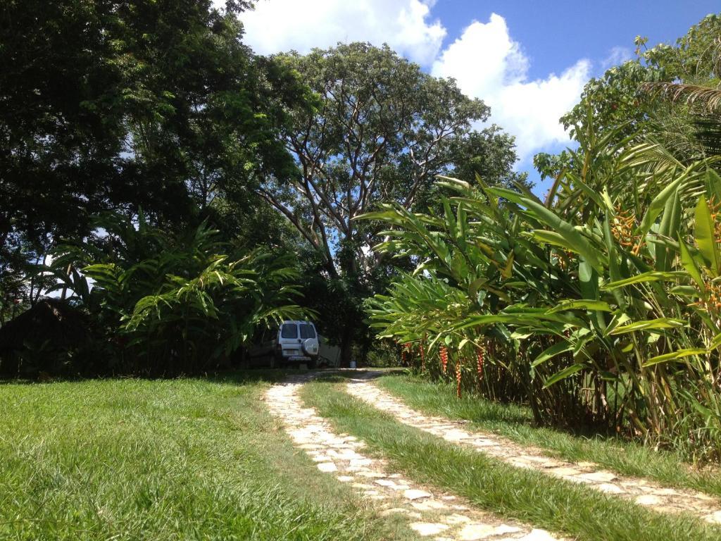 El Colombre Villa Palenque Bagian luar foto