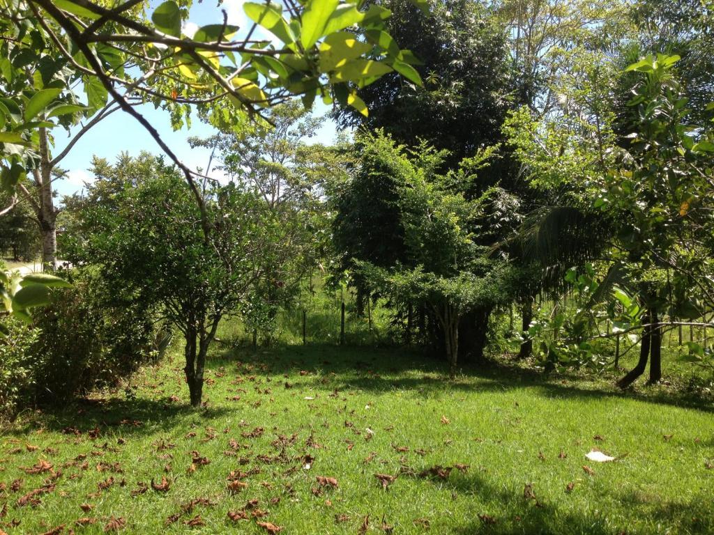 El Colombre Villa Palenque Bagian luar foto