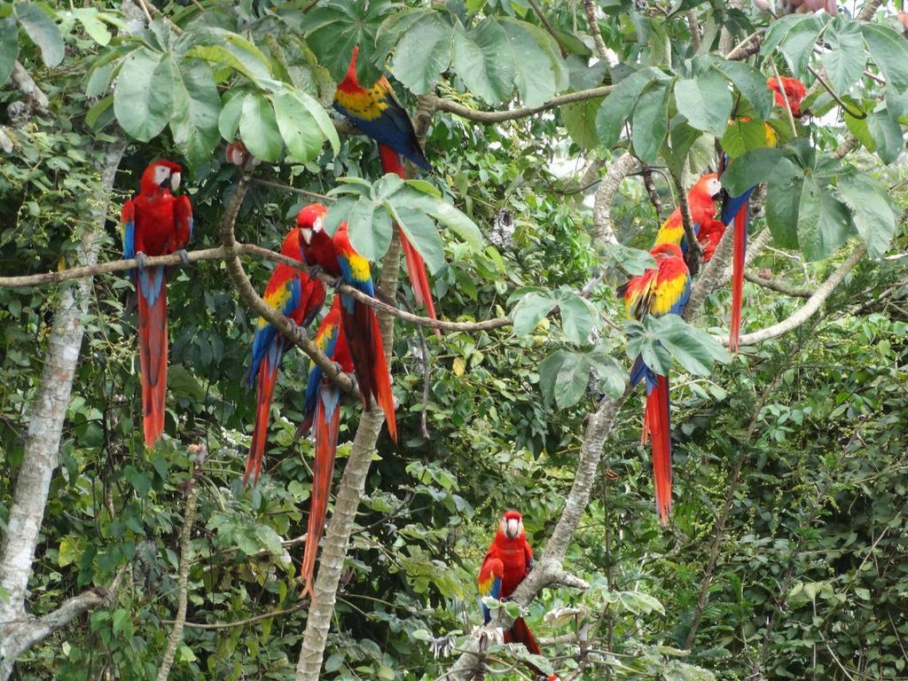 El Colombre Villa Palenque Bagian luar foto